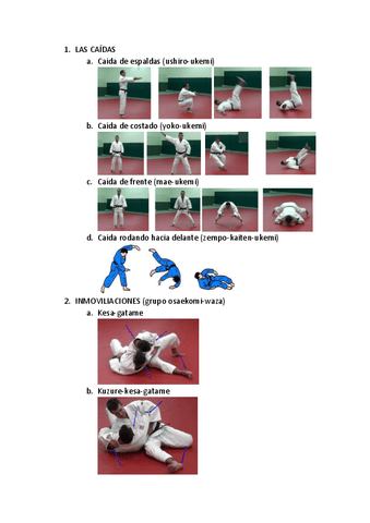 CONTENIDO-PRACTICO-JUDO-2o.pdf