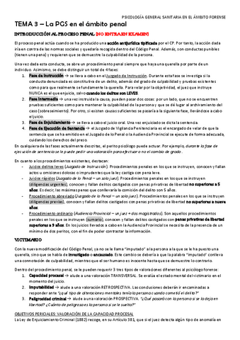 Tema-3-Penal.pdf