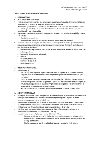 TEMA-11-DELINCUENCIA.pdf