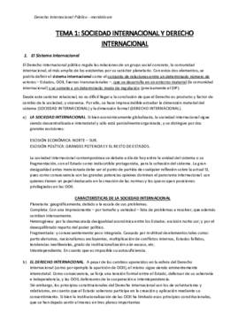 DIP CURSO COMPLETO PROF. ZAFRA.pdf