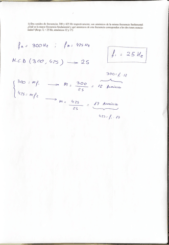 TEMAS-910-FISICA-II.pdf