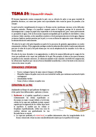 TEMA-51tegumento-comun.pdf