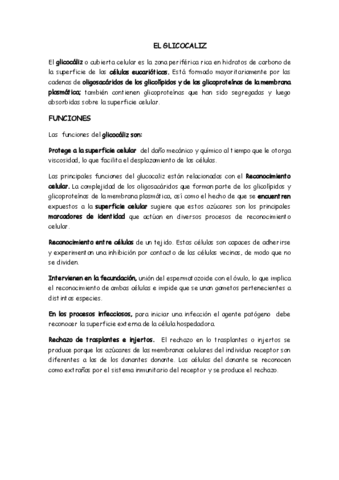 EL-GLICOCALIZ.pdf