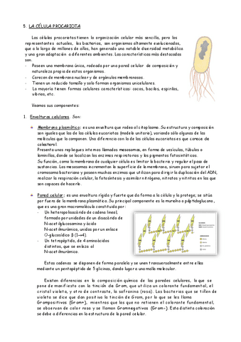 6.-2.-La-celula-procariota.pdf