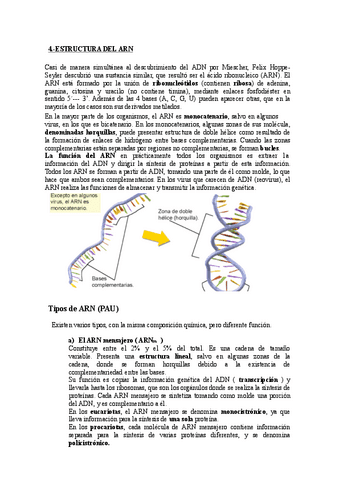 EL-ARN.pdf