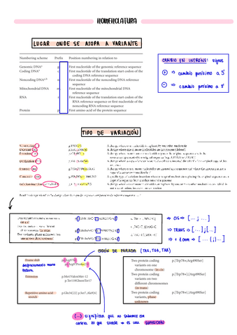 Nomenclatura-De-Las-Variantes-bases-Araujo.pdf