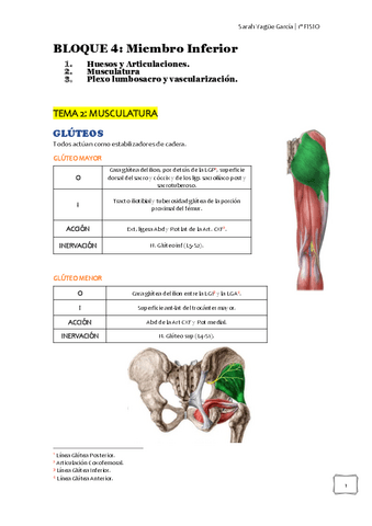 BLOQUE-5-musculatura-de-MMII.pdf