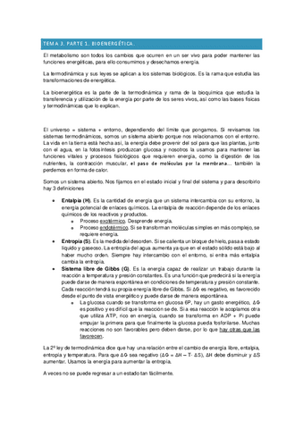 Bioquimica-II-tema-3-bioen.-y-rutas.pdf