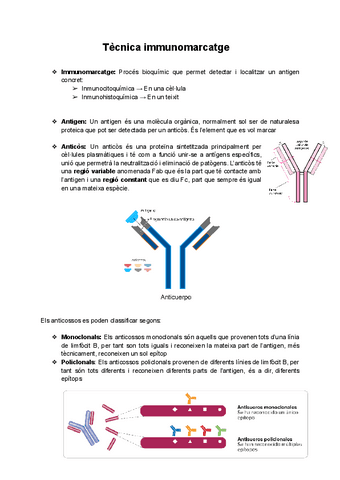 Seminari Tècniques immunomarcatge.pdf