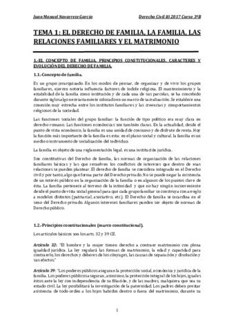 TEMARIO COMPLETO DERECHO CIVIL III 2017.pdf