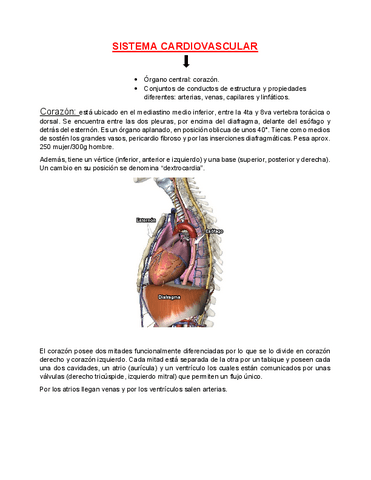 CARDIOLOGIA-RESUMEN.pdf