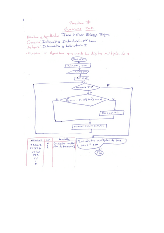 practico-diagrama-de-flujo.pdf