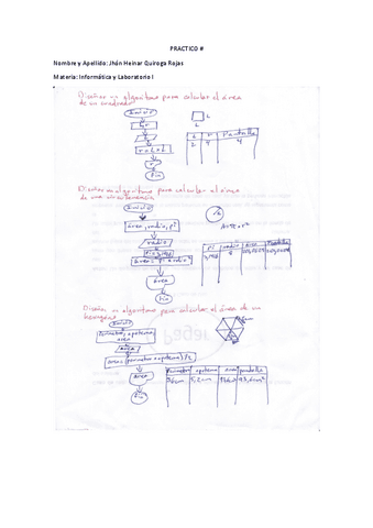 diagrama-de-flujos-raiz-cuadratica-hexagono.pdf