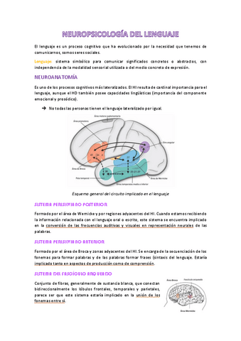 apuntes-t10-eval.neuro.pdf