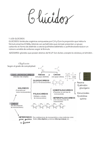 TEMA-2-GLUCIDOS.pdf