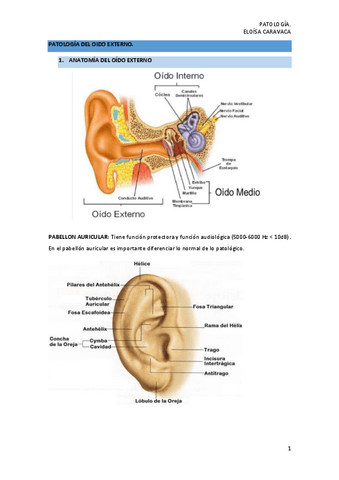 PATOLOGIA-OIDIO-EXTERNO.pdf