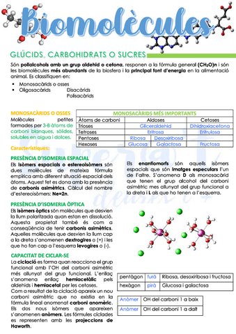 BIOLOGIA-03-BIOMOLECULES.pdf