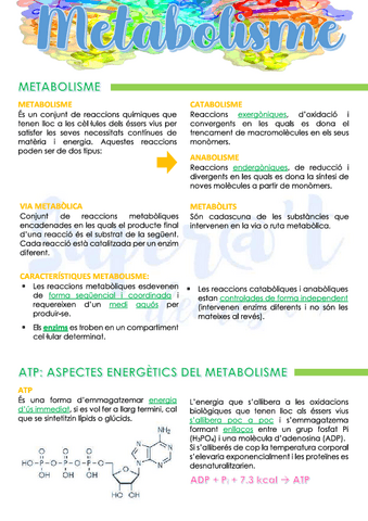 BIOLOGIA-01-METABOLISME.pdf