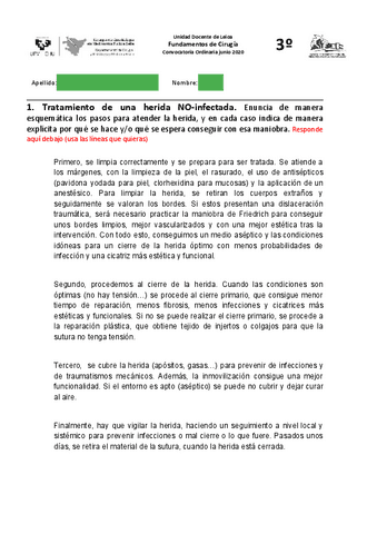 2020-largas.pdf