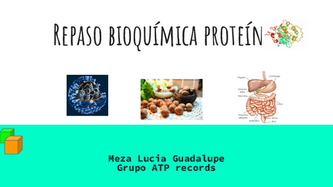 Clase-Resumen-Proteinas.pdf