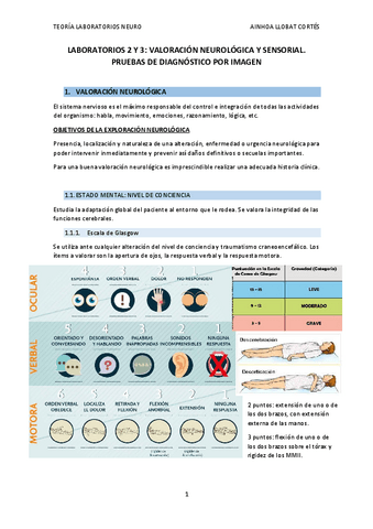 TEORIA-LABORATORIOS-NEURO.pdf