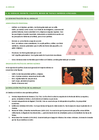 TEMA-5-hist..pdf