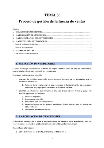 TEMA-3-Proceso-de-gestion-de-la-fuerza-de-ventas.pdf