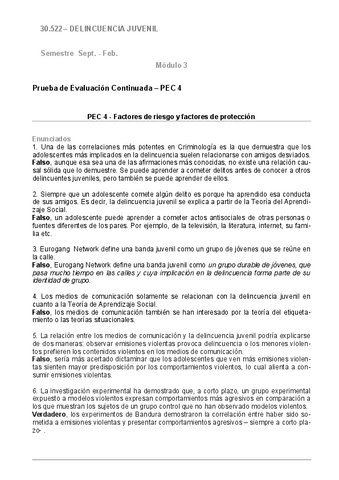 30.522PEC4Delincuencia-juvenil-UOC.pdf