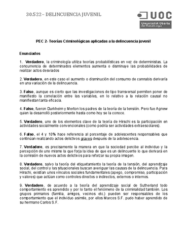30.536PEC2Delincuencia-juvenil-UOC.pdf