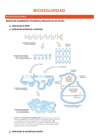 clase-8.pdf