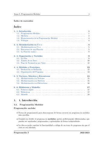 Tema5-Programacion.pdf