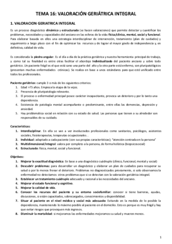 B2-T16-Valoracion-geriatrica-integral.pdf