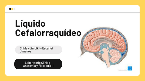 Amarillo-y-Naranja-Sencillo-Limpio-Digital-Adivina-la-Imagen-Juego-Divertido-Presentacion.pdf