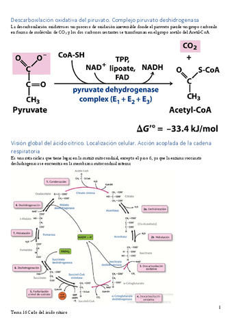 Apuntes-Tema-16.pdf