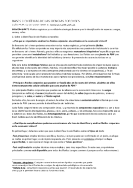 Respuestas Guía T3.pdf