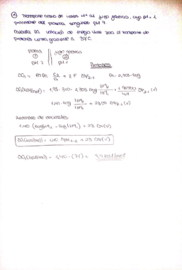 Taller 3 Resuelto.pdf