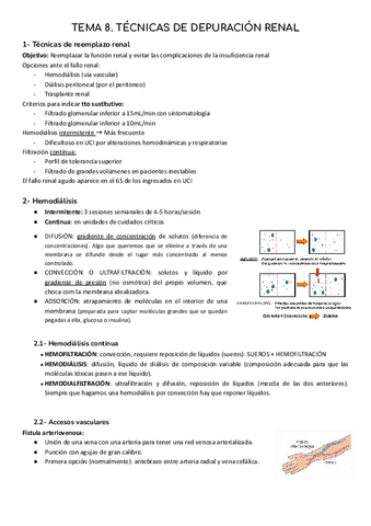 B4-T8-Tecnicas-de-depuracion-renal.pdf