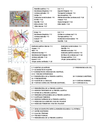 Imagenes oído parcial.pdf