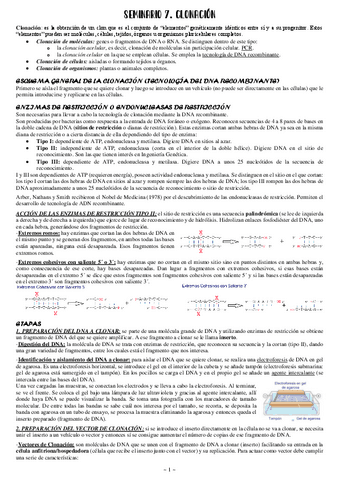 Seminario-7-Ing-genetica-Clonacion.pdf