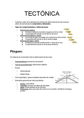 Tectónica-castellano.pdf