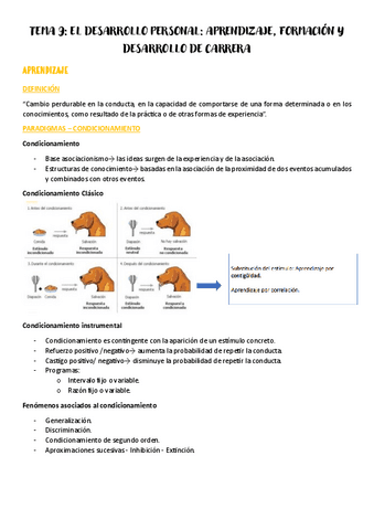 Tema-9-psicologia-del-trabajo-y-de-las-organizaciones.pdf
