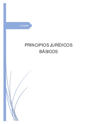 1-Principios-juridicos-basicos.pdf