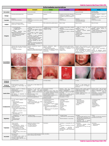 Enfermedades-exantematicas-uDocz.pdf