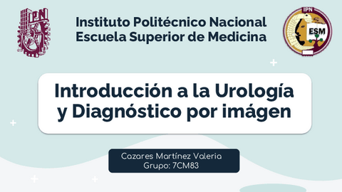 Introduccion-a-la-Urologia-y-Diagnostico-por-imagen.pdf