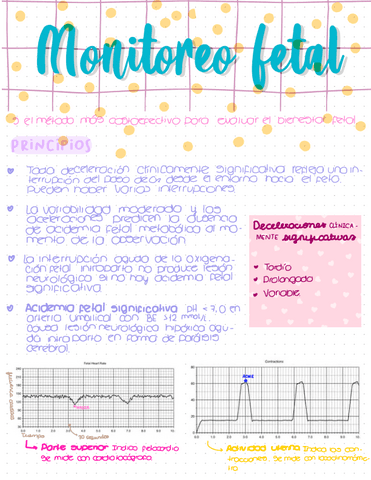 Monitoreo-fetal.pdf