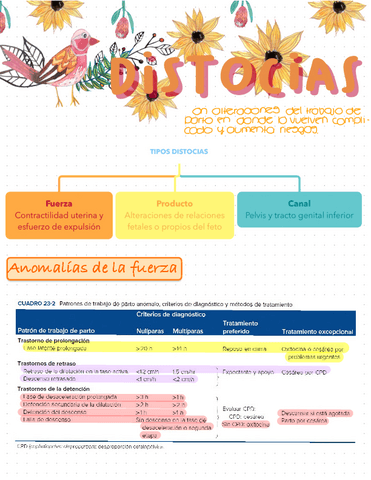 Distocias-del-parto.pdf