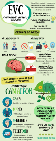 EVC-estrategia-CAMALEON-uDocz.pdf