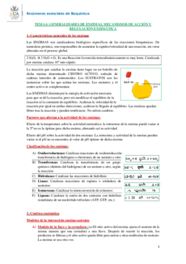RESUMEN BIOQUÍMICA T6.pdf