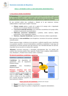 RESUMEN BIOQUÍMICA T7.pdf