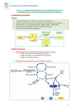 RESUMEN BIOQUÍMICA T8.pdf